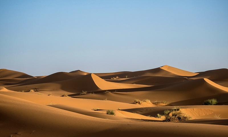Desert